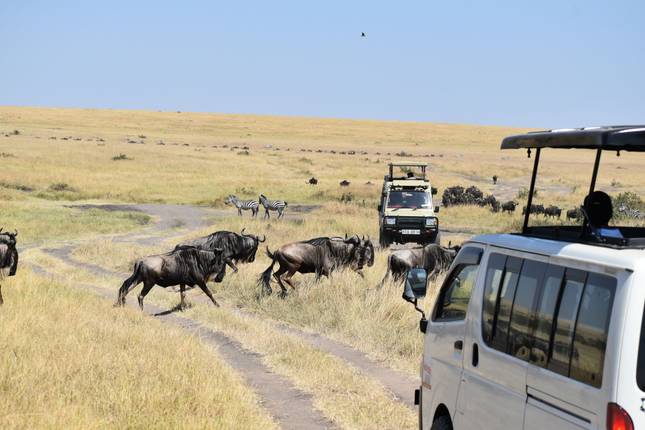 7-Day Luxury Kenya Safari Holiday