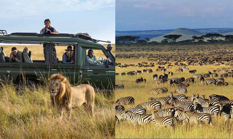 6 Days Kenya Safari Adventure
