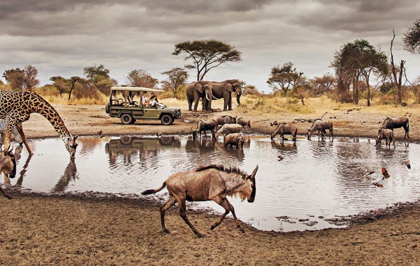 5 Day Kenya and Tanzania Safari