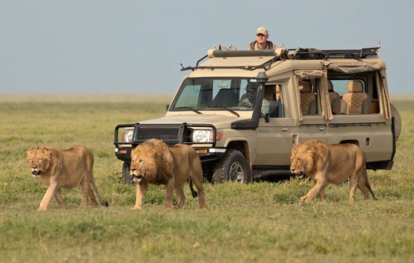 8 Days Wildlife Safari Tanzania